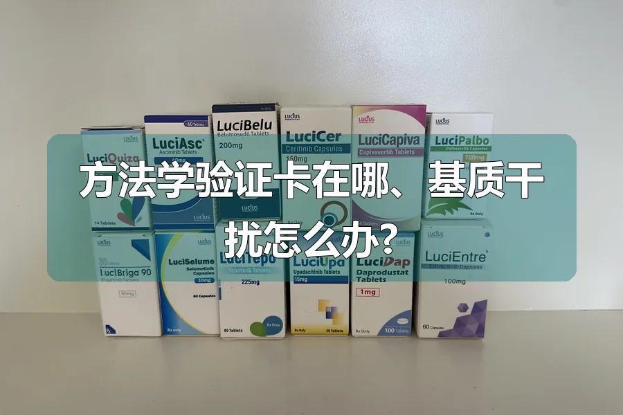 方法学验证卡在哪、基质干扰怎么办?